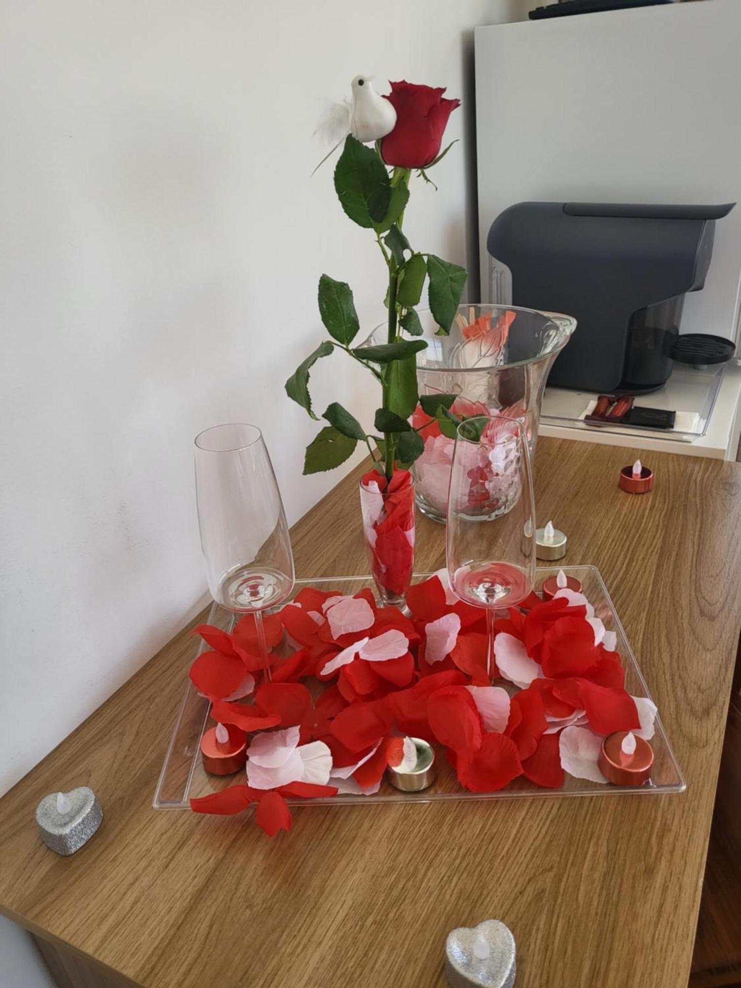 Apartmán A Minha Alegre Casinha Aveiro Exteriér fotografie